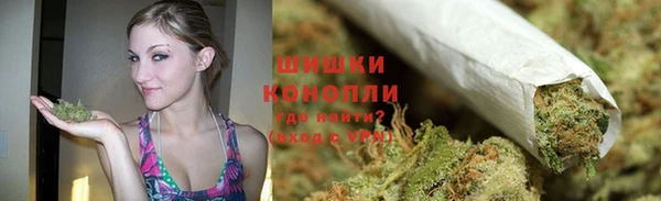 стаф Магас