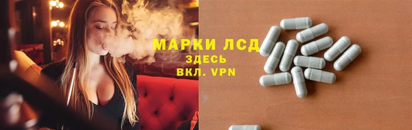 стаф Магас