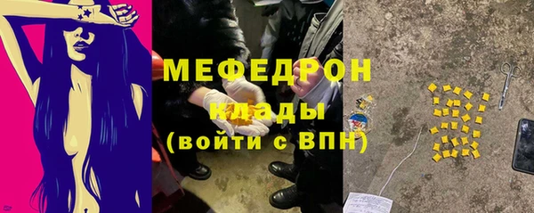 стаф Магас