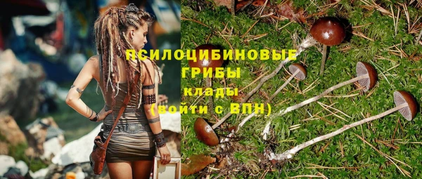 стаф Магас