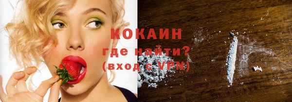 стаф Магас