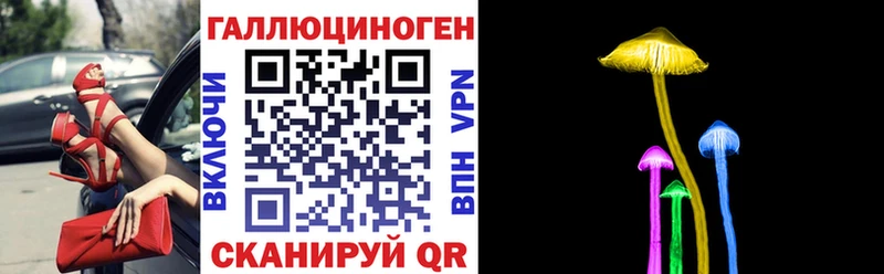 Купить  Щёкино  Псилоцибиновые грибы MAGIC MUSHROOMS 